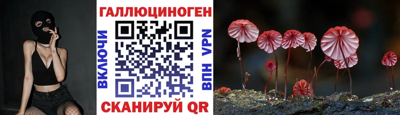 закладка  ОМГ ОМГ вход  Псилоцибиновые грибы GOLDEN TEACHER  Игра 